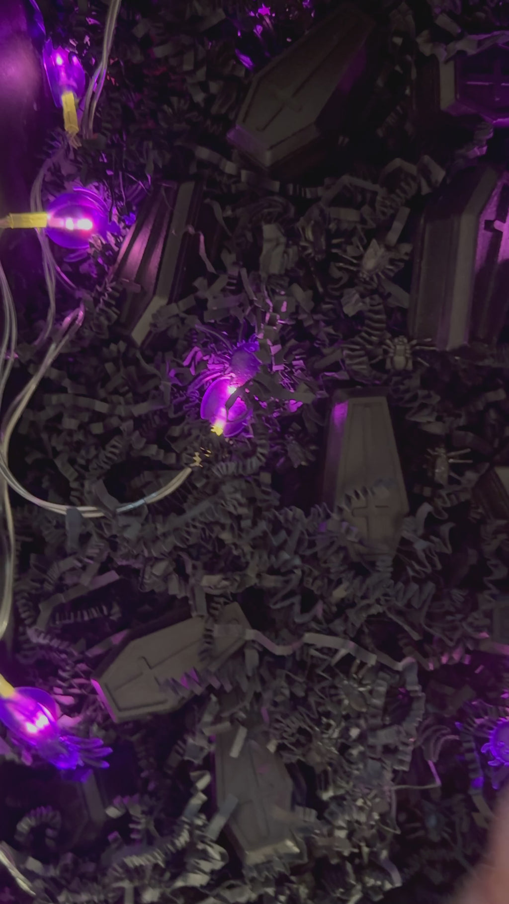 Mystery Sarg | Sarg des Schicksals | Sarg-Ziehung | Glückssarg | Überraschungsziehung | Mystery Ziehung